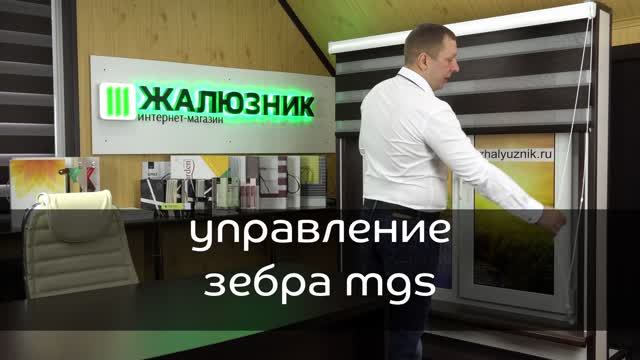 Управление рулонных штор Зебра MGS правое или левое.