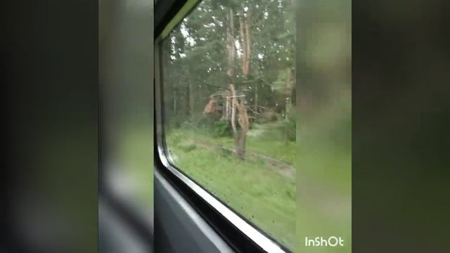 Детская железная дорога-Ярославль смотреть онлайн