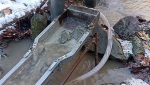 Мою золото в проруби