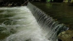 Звуки природы. Шум воды: лесной ручей. Очень красивое видео для релаксации / Forest stream