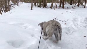 Первое путешествие ❤️