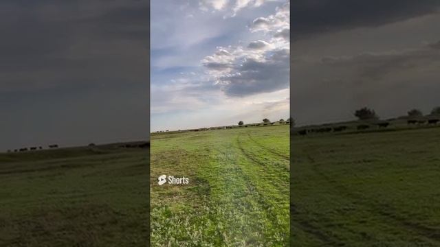 Бабье лето на дону #shorts