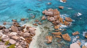 Из праха коры земной. Родник хвалы и вдохновенья