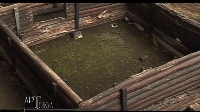 Артыкул 2 археология смотреть онлайн