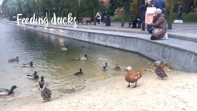 САМОЕ ОСЕННЕЕ ВИДЕО???? смотреть онлайн