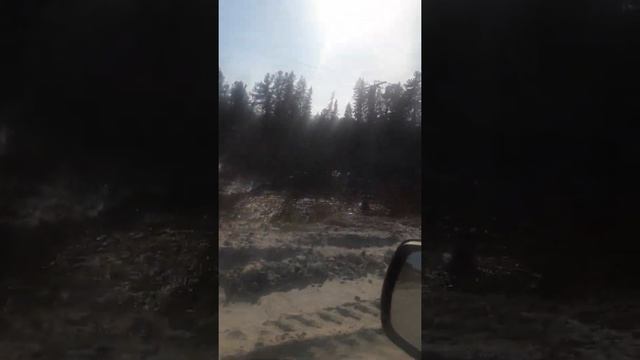 Приразломное м/р ханты манскийский округ