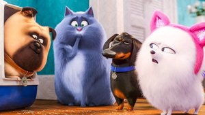 Тайная жизнь домашних животных 2/ The Secret Life of Pets 2 (2019) Дублированный трейлер №6