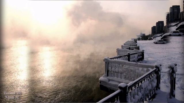 заплутали мишки -монтаж е.дронь-ю.невядовский смотреть онлайн