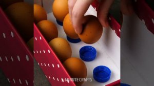 28 EGG HACKS THAT WILL SURPRISE YOU