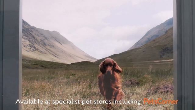 Canagan 15 Seconds смотреть онлайн