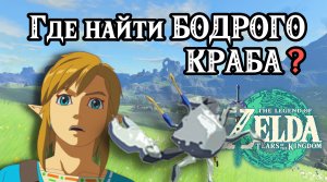 Бодрый краб. The Legend of Zelda Tears of the Kingdom. How to Get Bright Eyed Crabs. Nintendo Switch