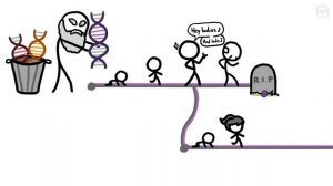 Можно ли дожить хотя бы до 130? [Минутка Земли]