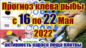 Прогноз клева рыбы на эту неделю с 16 по 22 Мая Календарь клева рыбы Календарь рыболова на Май.mp4