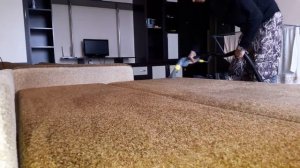 Химчистка дивана