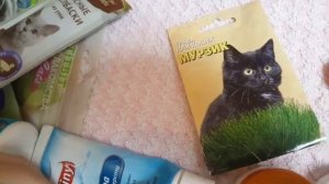 ?Лакомства моей кошки?Вещи британской кошки?