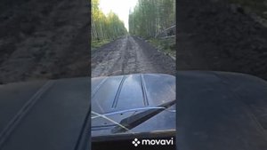 оз. щучье. томская область .