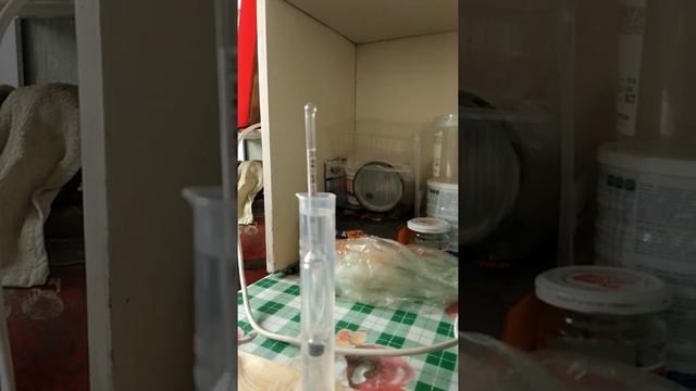 Самогонный аппарат супер дешево ( 300 рублей) смотреть онлайн