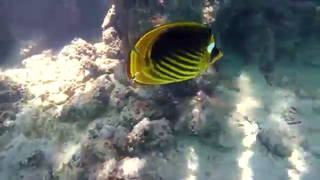 Egypt, Hurghada, Tropitel Sahl Hasheesh, City And Sea Travel