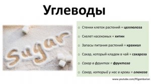 5. Химические вещества (5 класс) - введение в Биологию