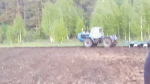 Посев гречихи