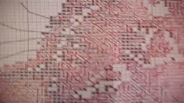 СП "Животные". Отчет №2. Первая неделя смотреть онлайн