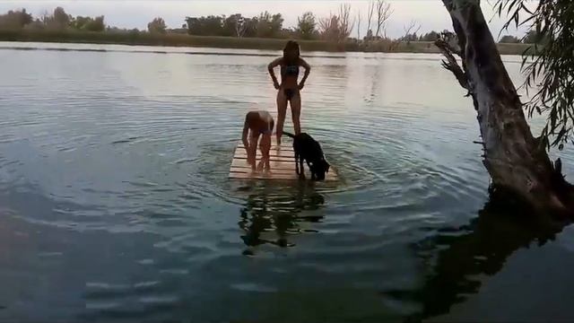 Построили плот!!! Дети в восторге!!!!!! смотреть онлайн