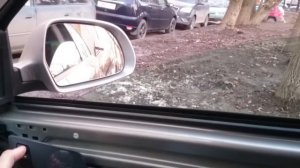 Skoda Octavia Scout a5 fl,  Стеклоподъемник не работает как надо.