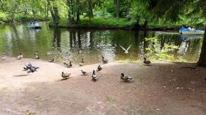 В ЦПКиО им.Кирова, Санкт-Петербург, 23.06.2022