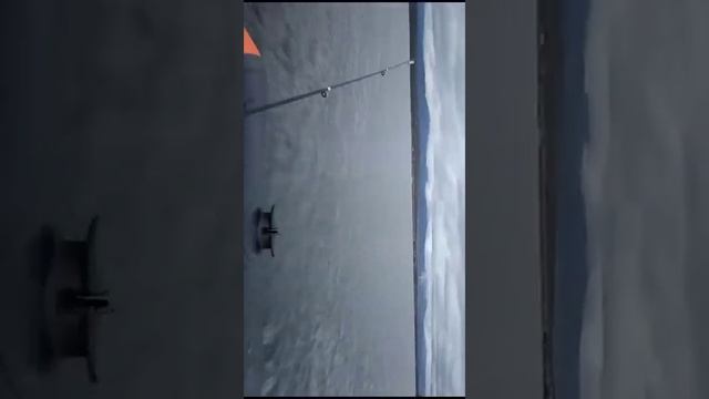 Обкатка мотора BAIKAL 9.9 (15лс) и лодка KITT BOATS