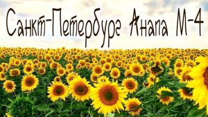 Санкт-Петербург Анапа на машине м-11 м-4Дон .