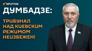 Думбадзе: трибунал над киевским режимом неизбежен