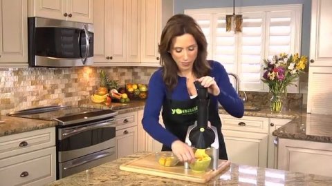 best frozen fruit dessert maker|best fruit ice cream maker|buy now