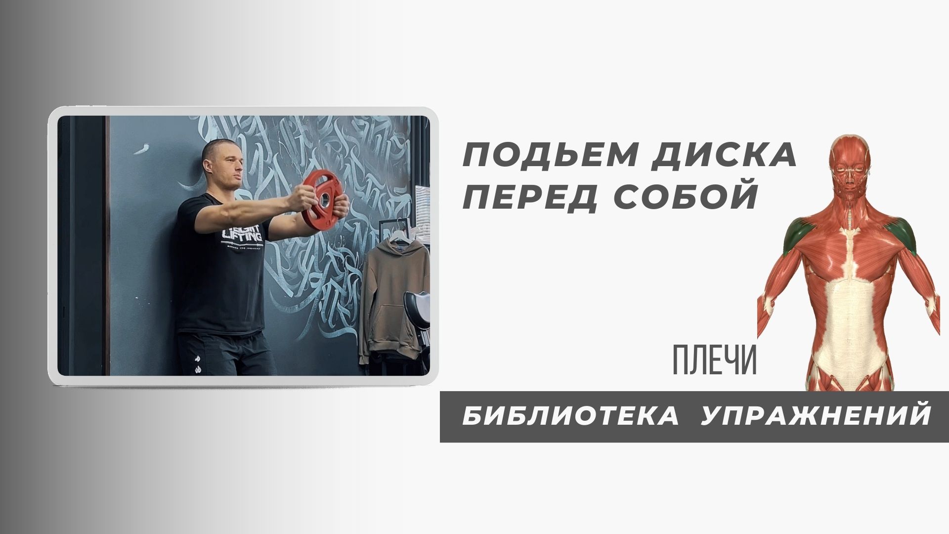 Крепкие и здоровые плечи используя небольшое отягощение.
