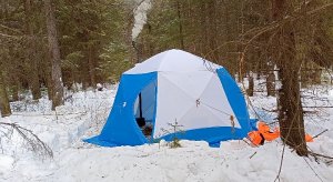 Один день в лесу 2