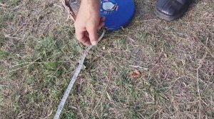 Бенелли М2.Benelli M2.Первое знакомство. Часть1.