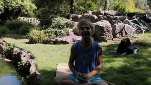 Alternative subcultures: The Modern Day Hippie