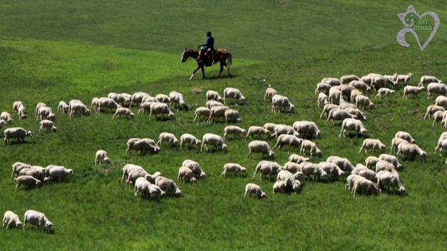 Сказка "Выход". смотреть онлайн