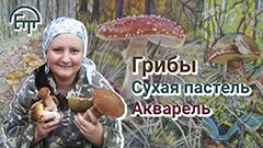 Выставка Елены Тюриной. Грибы. Пастель. Акварель. Фотография. Авторская музыка