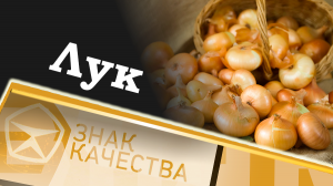 Лук. Знак качества