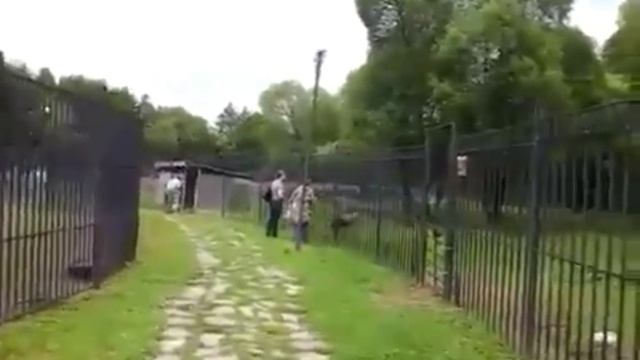 Без названия смотреть онлайн