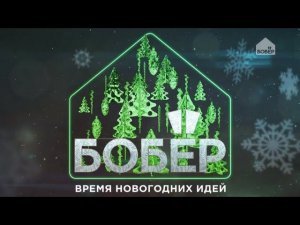 Время новогодних идей в эфире телеканала «Бобёр»