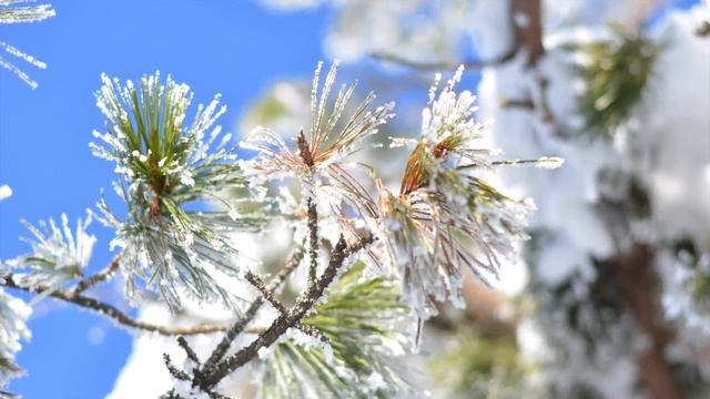 2016 Каменный город смотреть онлайн