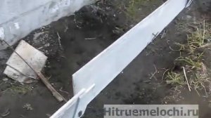 Грядка вдоль теплицы