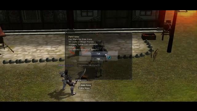 Prezentacja prywatnych serwerów Metin2 - #24 - Nemoria.pl смотреть онлайн