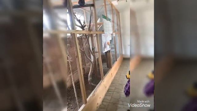 В зоопарке на Садгороде. г. Владивосток. 2022 г. смотреть онлайн