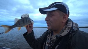 Ловля ЩУКИ,ОКУНЯ, на КИТАЙСКИЕ КРЕНКИ!!! РЫБАЛКА на СПИННИНГ!!! РЫБАЛКА 2021,на озере БЕРЧИКУЛЬ!!!