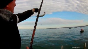 ШИКАРНАЯ РЫБАЛКА НА СЕЛЕДКУ В ЯНВАРЕ В СЕВАСТОПОЛЕ!!!