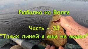 Рыбалка на Волге. Часть - 33. "Таких линей я еще не видел".