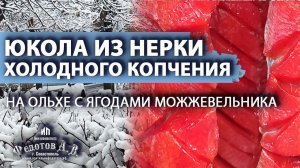 ЮКОЛА из НЕРКИ холодного копчения на Ольхе с ягодами Можжевельника.