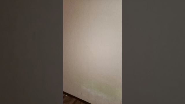 Предоставление в аренду нежилого помещения